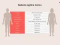 Tabela z badaniem ogólnym moczu, wskazująca prawidłowe wartości, w tym brak azotynów.