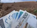 Pieniądze, w tym banknot 100 zł, leżą na ziemi. Zastanawiasz się, jaka emerytura z KRUS wynosi netto?