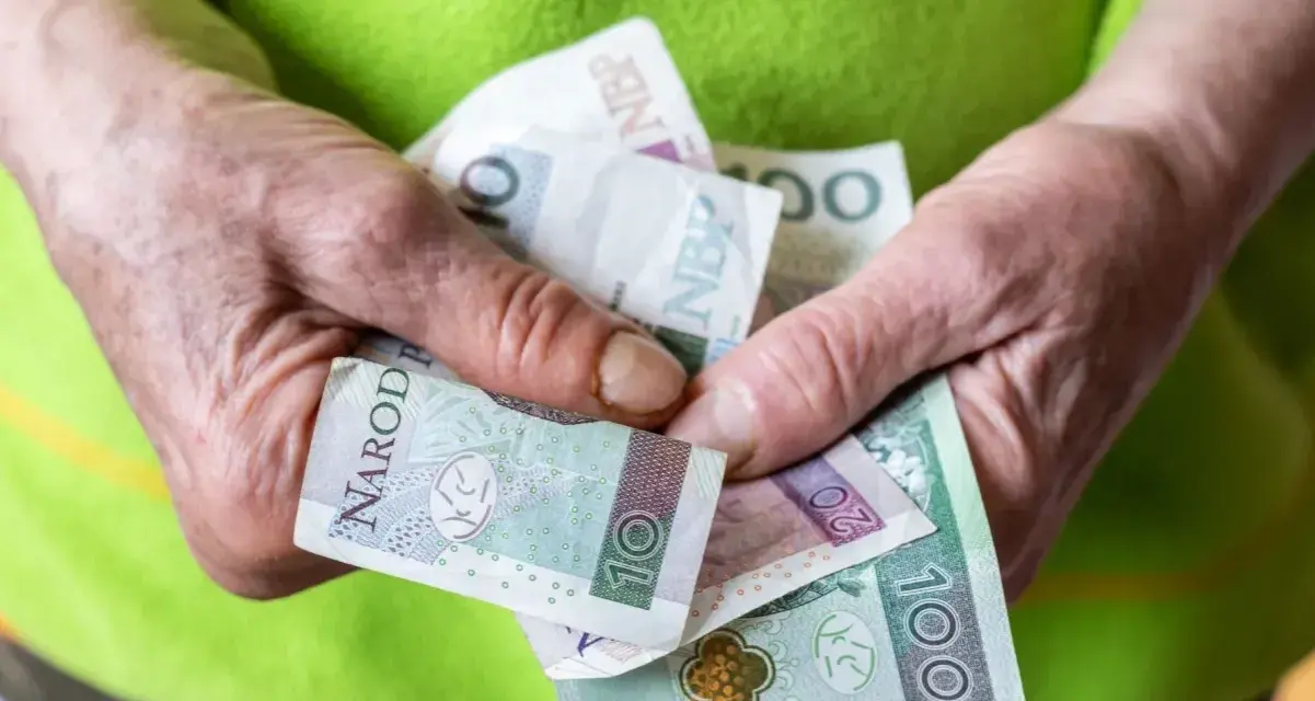 Dłonie trzymają polskie banknoty. Zastanawiasz się, ile wynosi renta socjalna?