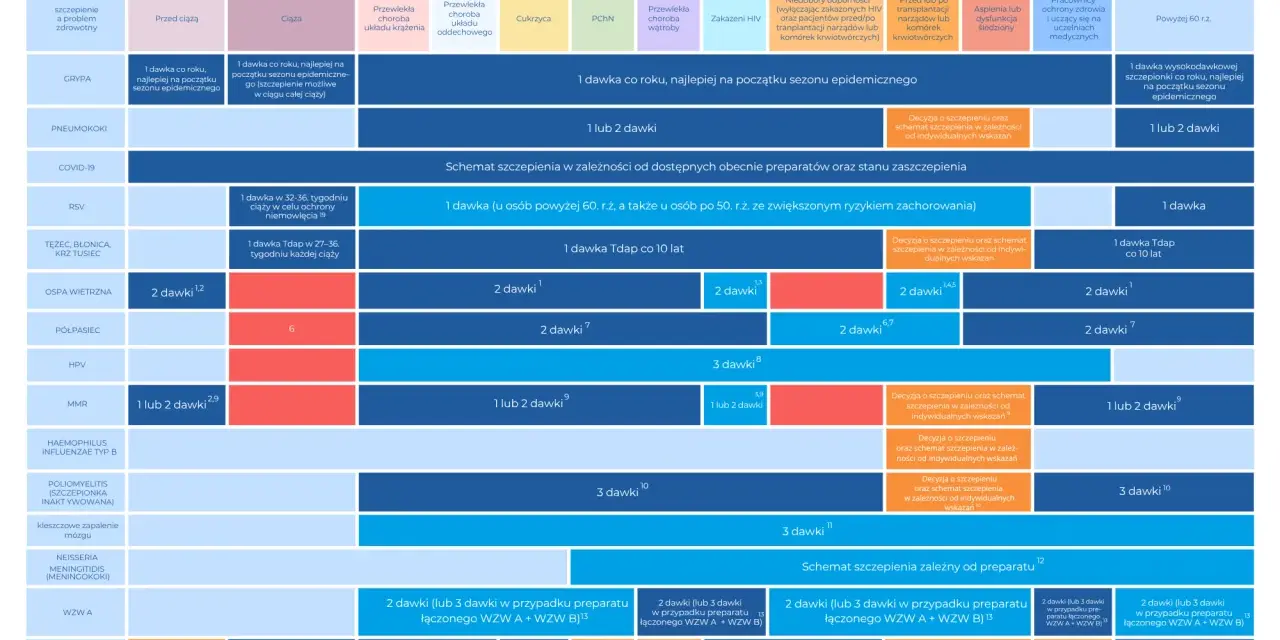 Schemat szczepień dorosłych 2025/2026, uwzględniający m.in. szczepionkę dtp.