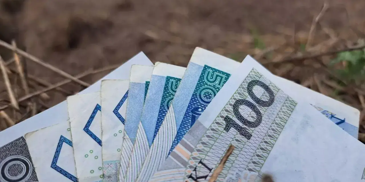 Pieniądze, w tym banknot 100 zł, leżą na ziemi. Zastanawiasz się, jaka emerytura z KRUS wynosi netto?