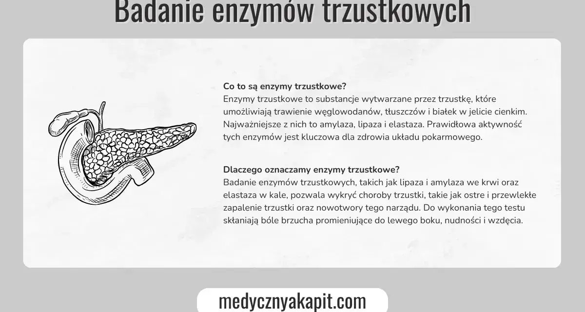 Ilustracja przedstawia trzustkę. Tekst omawia, jakie badania na trzustkę są wykonywane, w tym badanie enzymów trzustkowych.