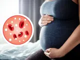 Ciężarna kobieta z symbolem krwinek, sugerującym leukocytozę.