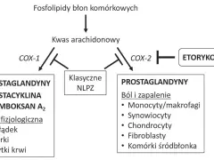 Schemat działania COX-1 i COX-2. Etorykoksib hamuje COX-2, wpływając na ból i zapalenie.