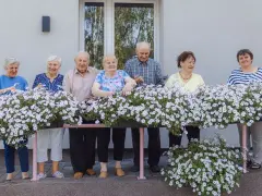 Siedmioro seniorów, otoczonych kwitnącymi petuniami, cieszy się słońcem. Wśród nich jest pani, która wygląda jakby właśnie sięgnęła po clemastinum.