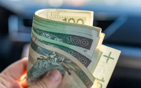 Dłoń trzyma zwitek polskich banknotów 100 zł. Dokument orzeczenie o niepełnosprawności może pomóc w uzyskaniu zasiłek pielęgnacyjny.