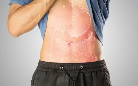 Anatomia brzucha z widocznym żołądkiem i jelitami. Gdzie jest woreczek żółciowy?