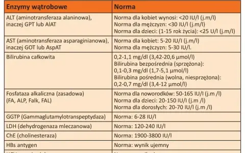 Tabela z normami badań wątrobowych: ALT, AST, bilirubina, GGTP. Sprawdź, czy Twoje wyniki ALAT, AspAT, ALP, GGTP, LDH, ChE, HBs, HCV mieszczą się w normie.