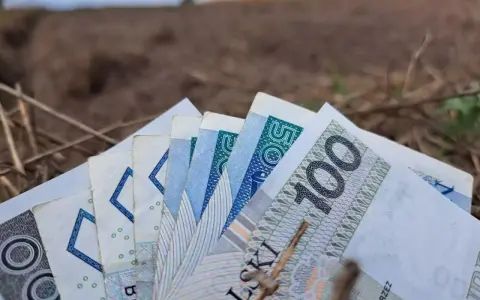 Pieniądze, w tym banknot 100 zł, leżą na ziemi. Zastanawiasz się, jaka emerytura z KRUS wynosi netto?