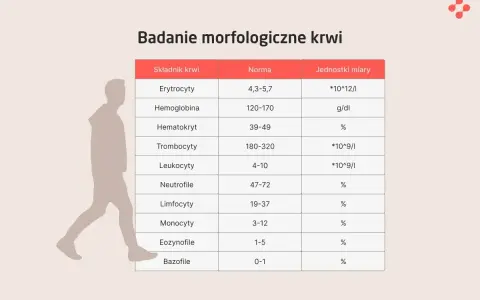 Tabela z badaniem morfologicznym krwi, pokazująca normy dla erytrocytów, hemoglobiny, hematokrytu, trombocytów, leukocytów, neutrofili, limfocytów, monocytów, eozynofili i bazofili. Obok sylwetka człowieka.