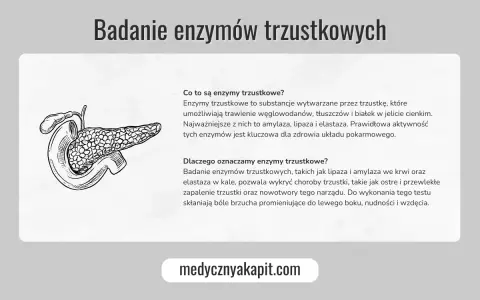 Ilustracja przedstawia trzustkę. Tekst omawia, jakie badania na trzustkę są wykonywane, w tym badanie enzymów trzustkowych.