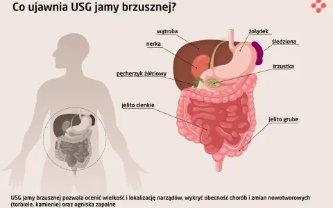 USG jamy brzusznej co wykrywa: wątrobę, nerki, żołądek, jelita, pęcherzyk żółciowy, trzustkę, śledzionę. Pomaga ocenić narządy i wykryć choroby.