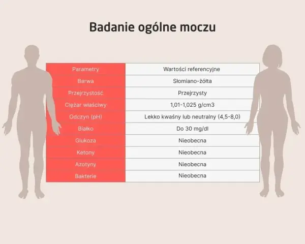 Tabela z badaniem ogólnym moczu, wskazująca prawidłowe wartości, w tym brak azotynów.