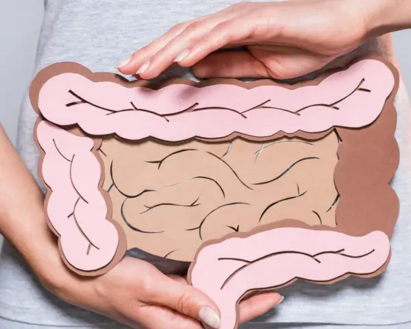 Dłonie obejmujące model jelit, symbolizujący problemy trawienne, takie jak śluz w kale.