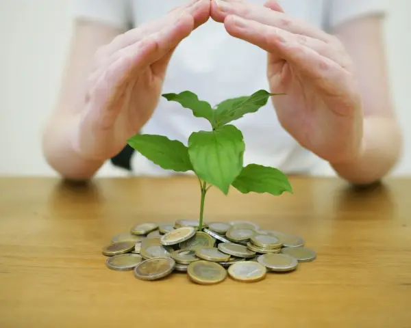 Dłonie tworzą dach nad młodą rośliną wyrastającą z garści monet. Symbolizuje to troskę o przyszłość, nawet gdy zarobki to najniższa krajowa na godzinę.