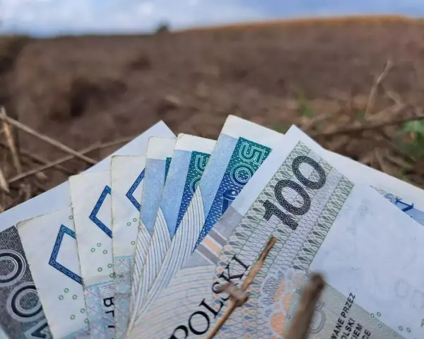 Pieniądze, w tym banknot 100 zł, leżą na ziemi. Zastanawiasz się, jaka emerytura z KRUS wynosi netto?