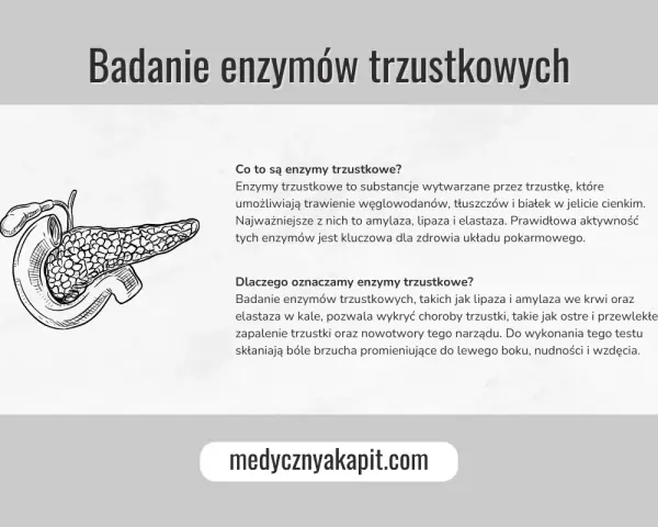 Ilustracja przedstawia trzustkę. Tekst omawia, jakie badania na trzustkę są wykonywane, w tym badanie enzymów trzustkowych.