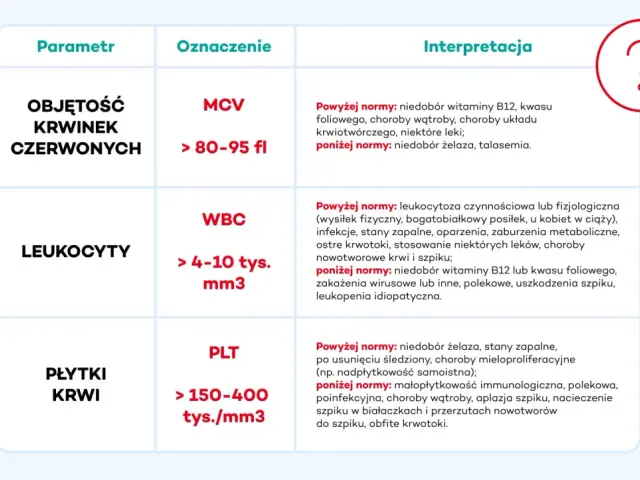 Tabela interpretacji wyników morfologii krwi: MCV (objętość krwinek czerwonych), WBC (leukocyty), PLT (płytki krwi) z podanymi normami i przyczynami odchyleń.
