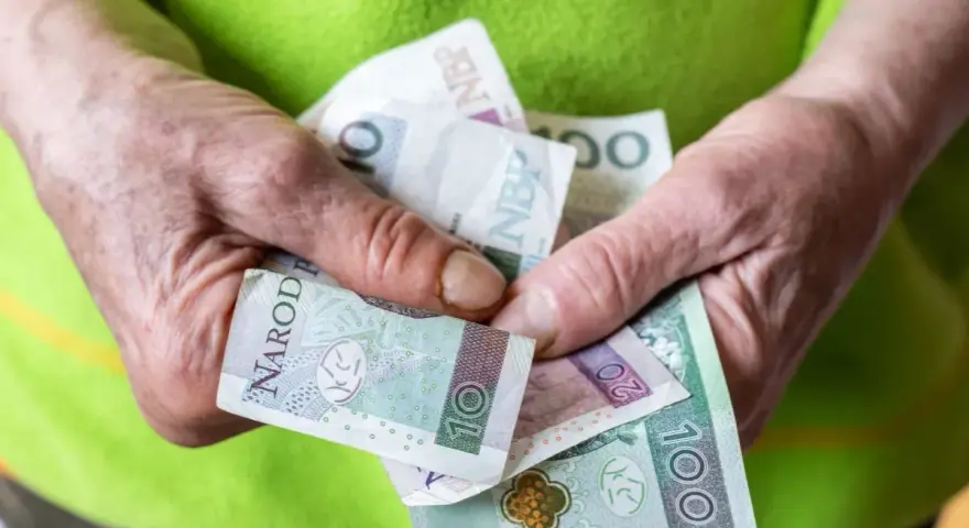Dłonie trzymają polskie banknoty. Zastanawiasz się, ile wynosi renta socjalna?