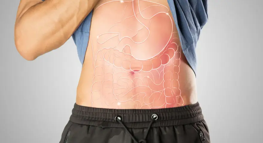 Anatomia brzucha z widocznym żołądkiem i jelitami. Gdzie jest woreczek żółciowy?
