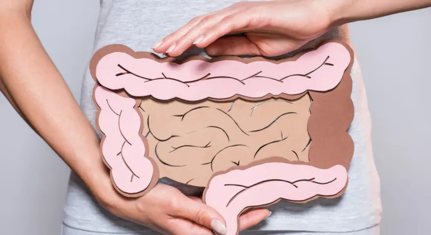 Dłonie obejmujące model jelit, symbolizujący problemy trawienne, takie jak śluz w kale.