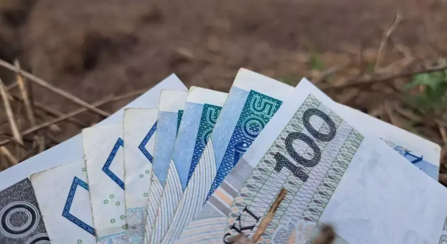 Pieniądze, w tym banknot 100 zł, leżą na ziemi. Zastanawiasz się, jaka emerytura z KRUS wynosi netto?