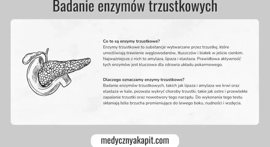 Ilustracja przedstawia trzustkę. Tekst omawia, jakie badania na trzustkę są wykonywane, w tym badanie enzymów trzustkowych.