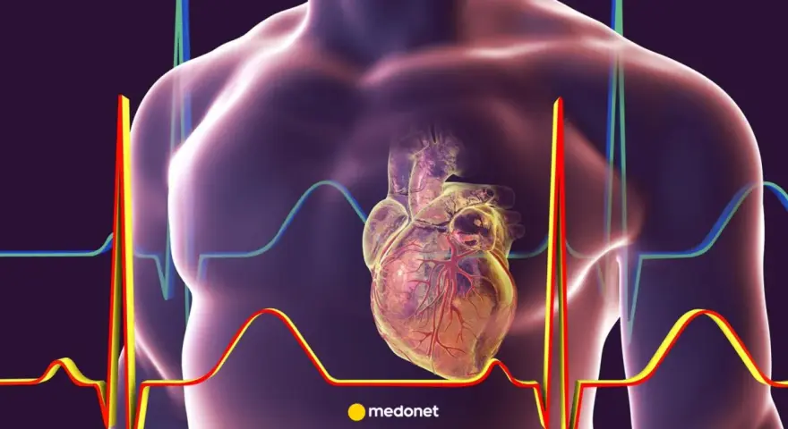 Anatomical serce człowieka na tle wykresów EKG.