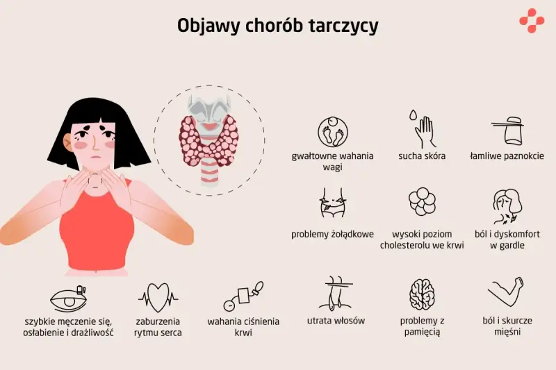 Ilustracja pokazuje, gdzie jest tarczyca, i objawy jej chorób: zmęczenie, problemy z wagą, skórą, paznokciami, sercem, włosami i pamięcią.